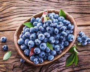 富硒蓝莓